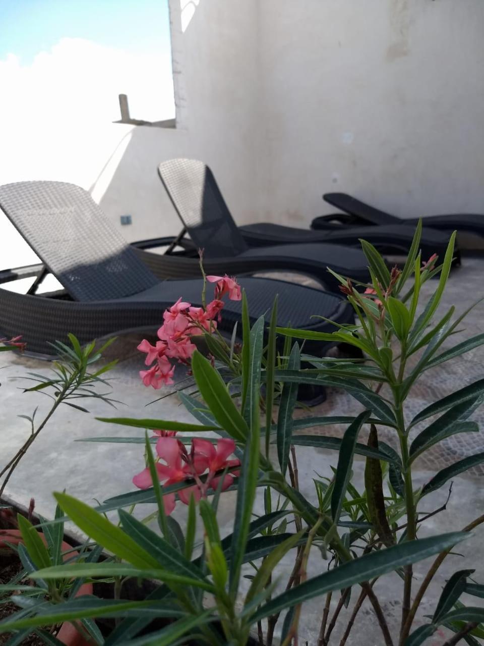 Sol-Ha Tulum Hotel Boutique ภายนอก รูปภาพ